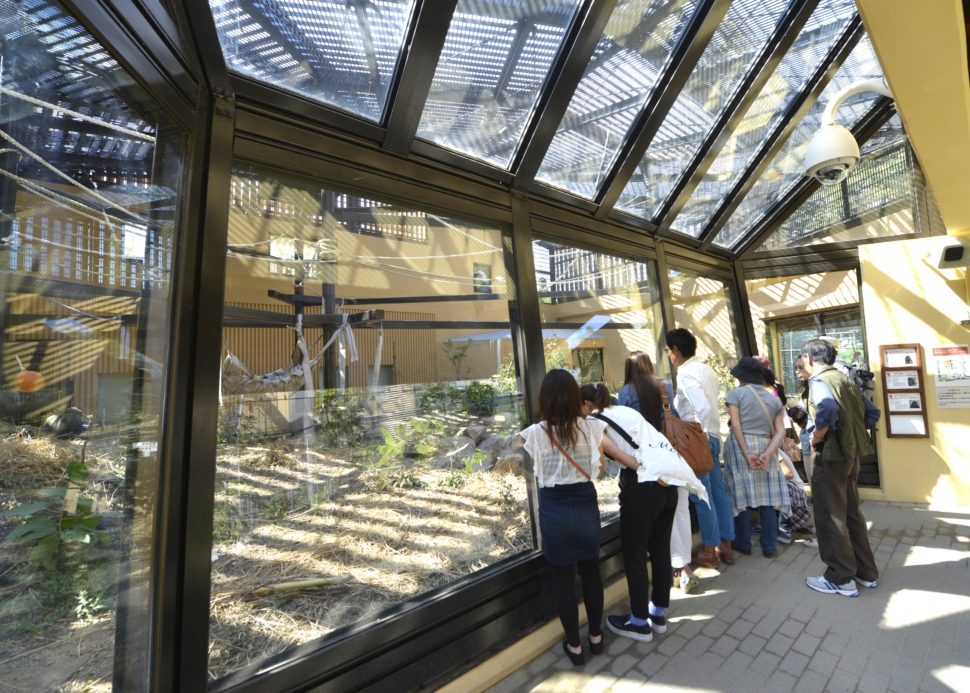 ゴリラ舎向け特殊扉・大型FIX