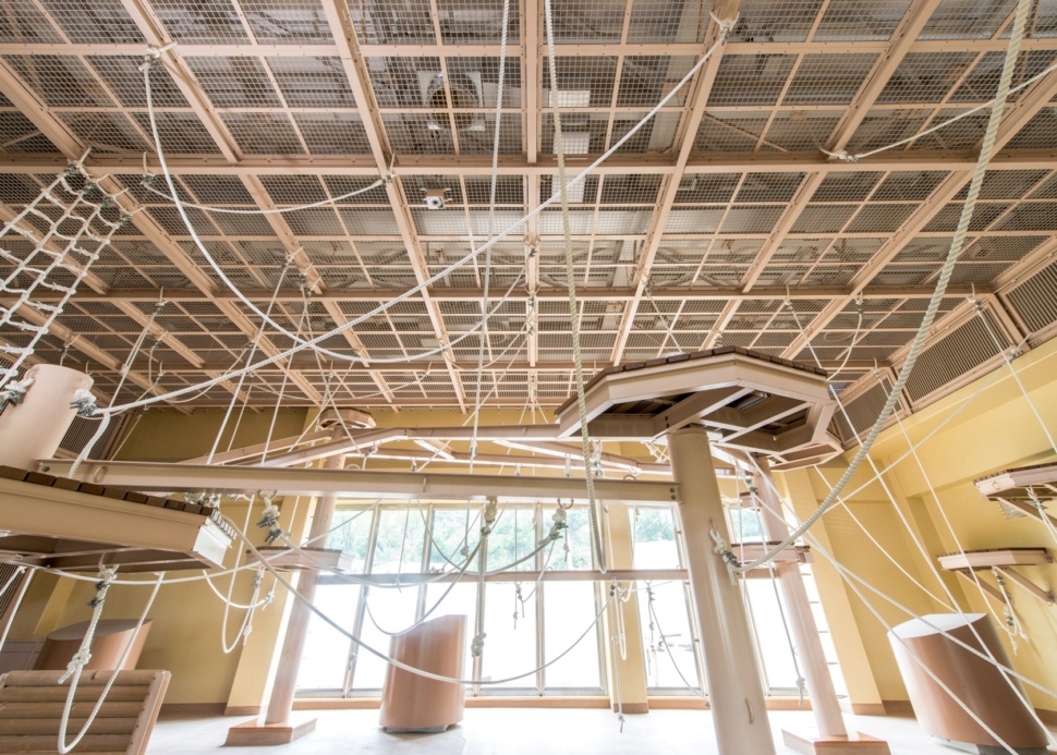 ゴリラ・チンパンジー舎檻