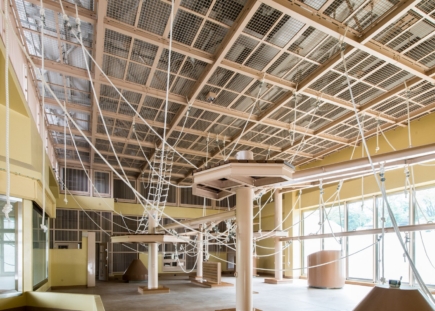 ゴリラ・チンパンジー 天井格子